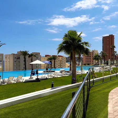 Sunset Cliffs Sea View Apartments 14 Floor Benidorm Eksteriør billede